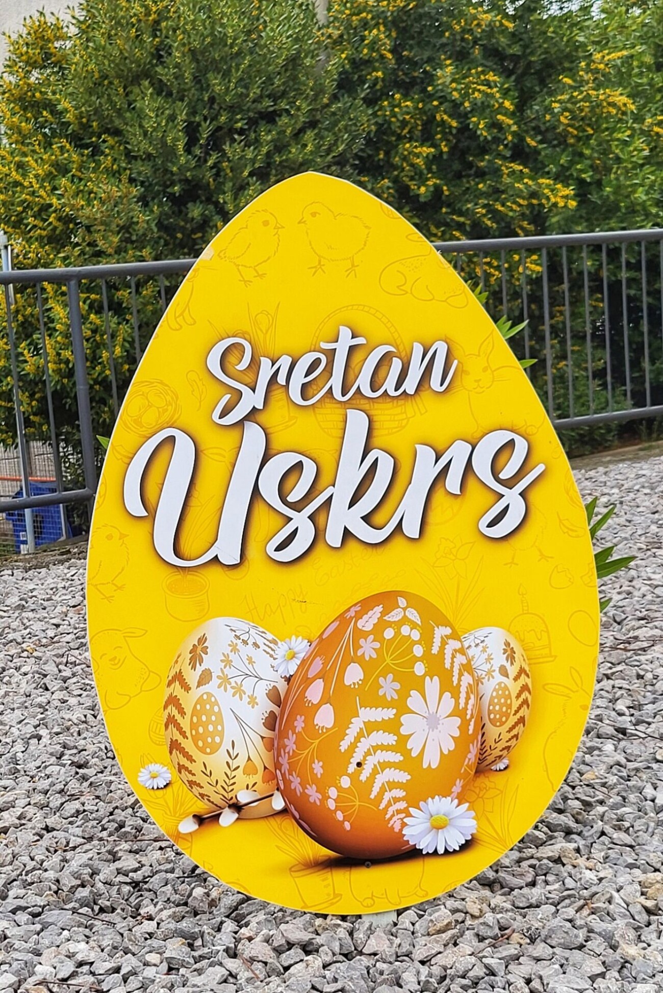 433869993_800235021921038_4713763109102527507_n 433869993_800235021921038_4713763109102527507_n