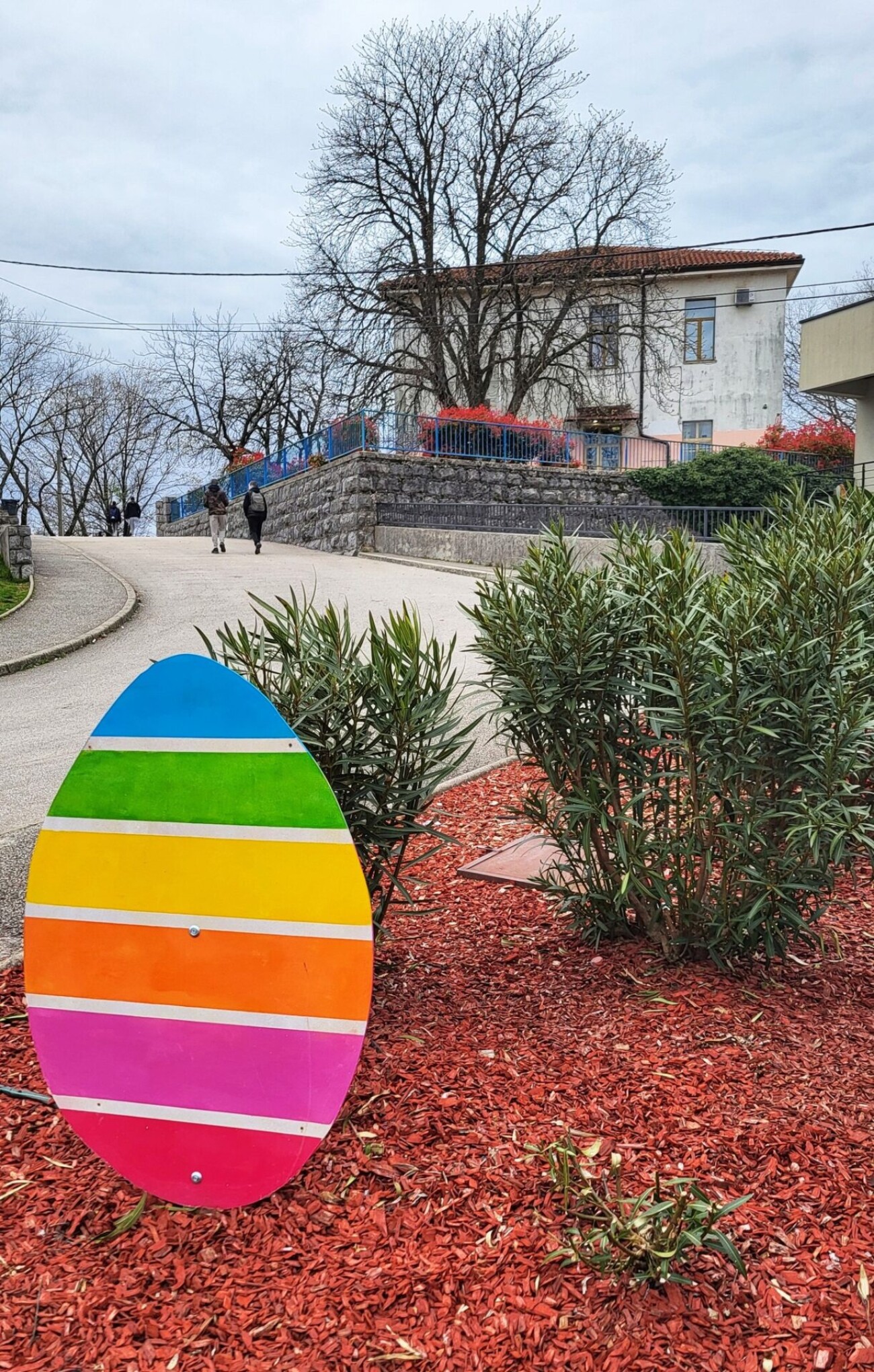 433972624_800235035254370_8848167369180518996_n 433972624_800235035254370_8848167369180518996_n