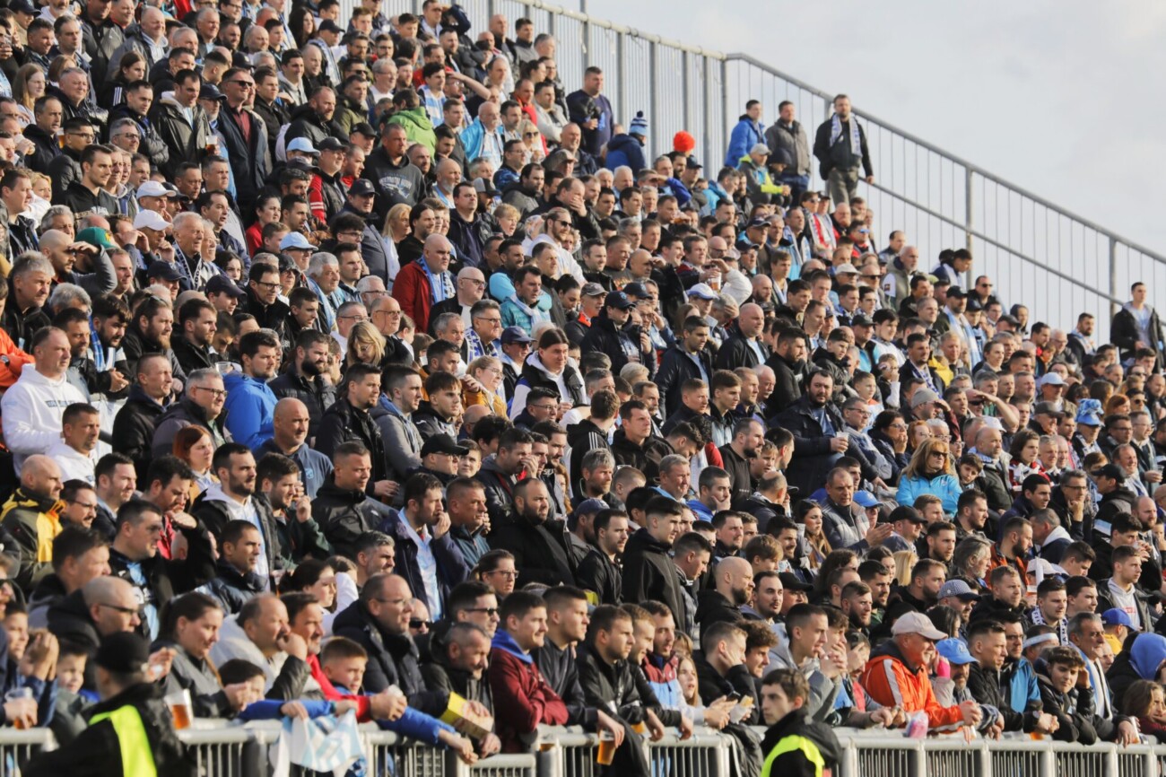 IMG_20240303_163516 IMG_20240303_163516