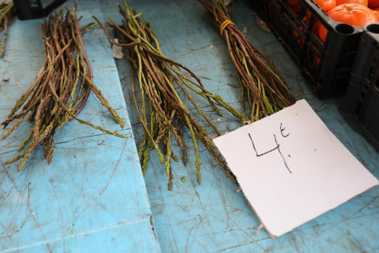 Rijeka: Na tržnicu stigle prve ovogodišnje divlje šparoge Rijeka: Na tržnicu stigle prve ovogodišnje divlje šparoge