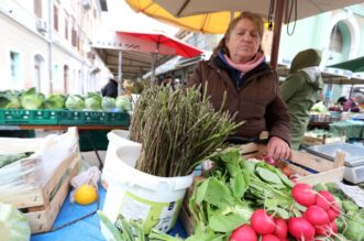 Rijeka: Na tržnicu stigle prve ovogodišnje divlje šparoge