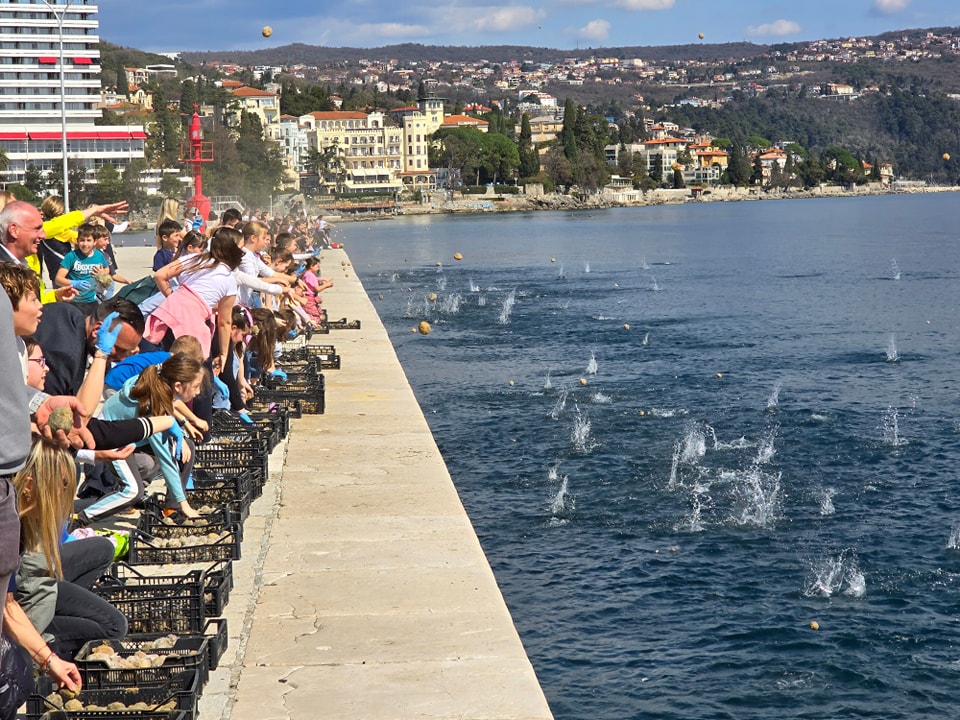 kuglice mikroorganizmi opatija (1)