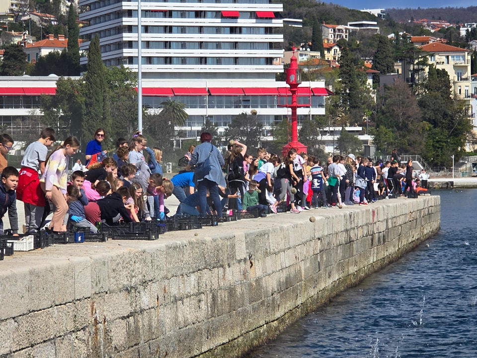 kuglice mikroorganizmi opatija (4)