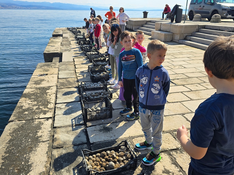 kuglice mikroorganizmi opatija (6)