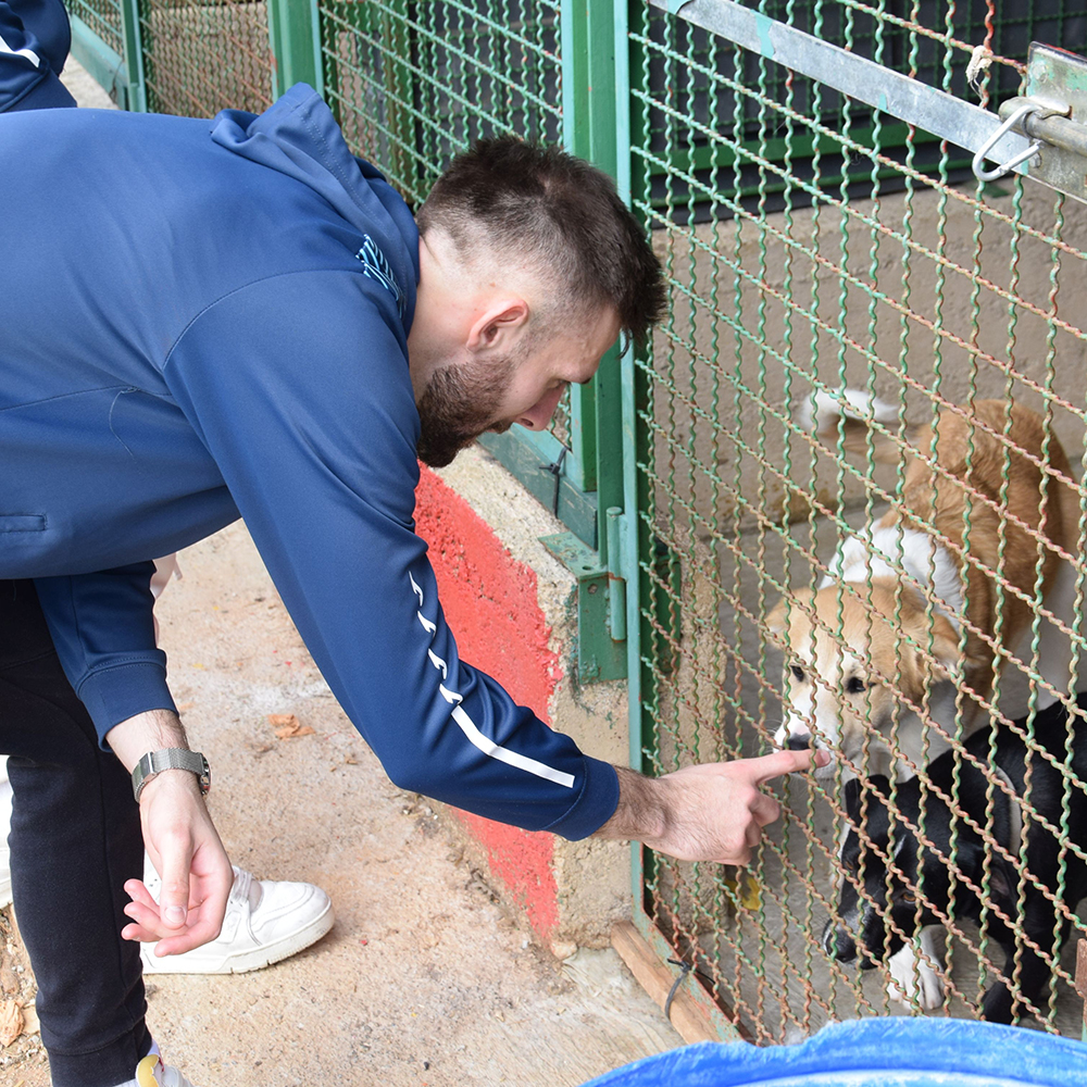 nk rijeka azil za pse 14