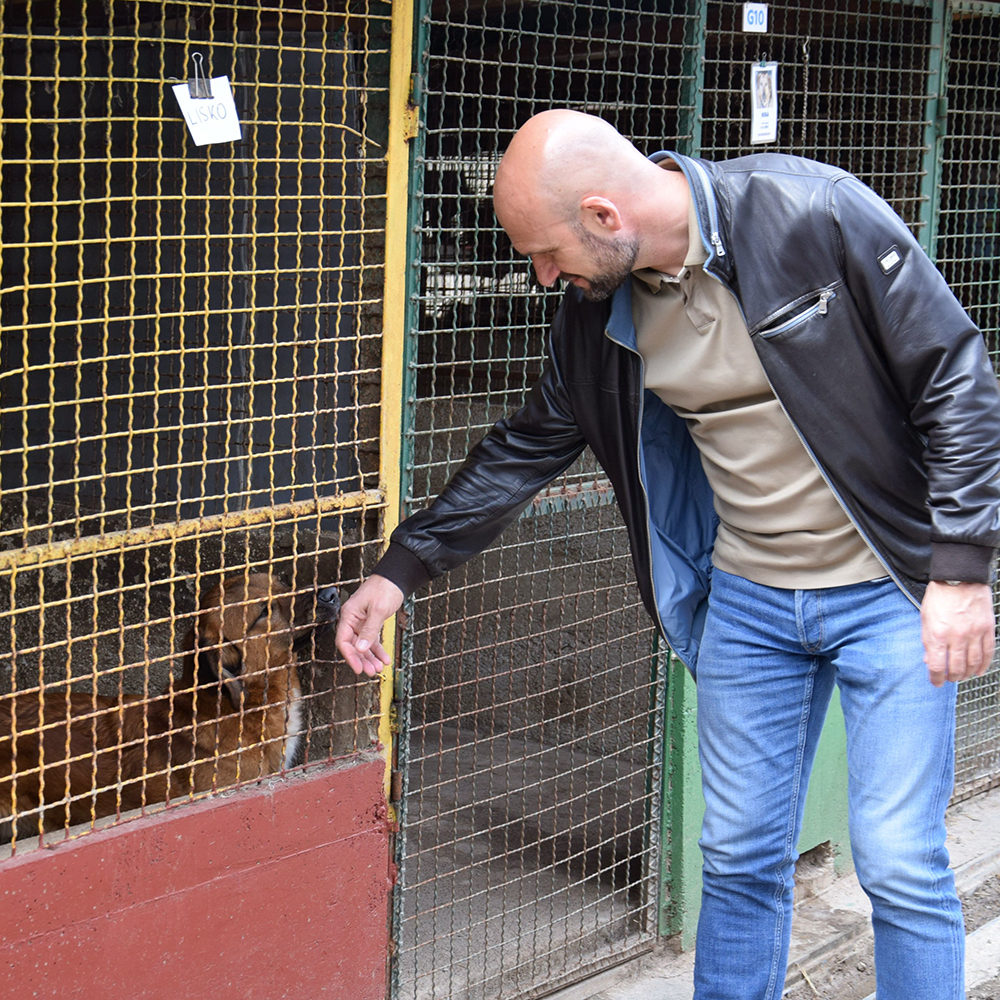 nk rijeka azil za pse 1999