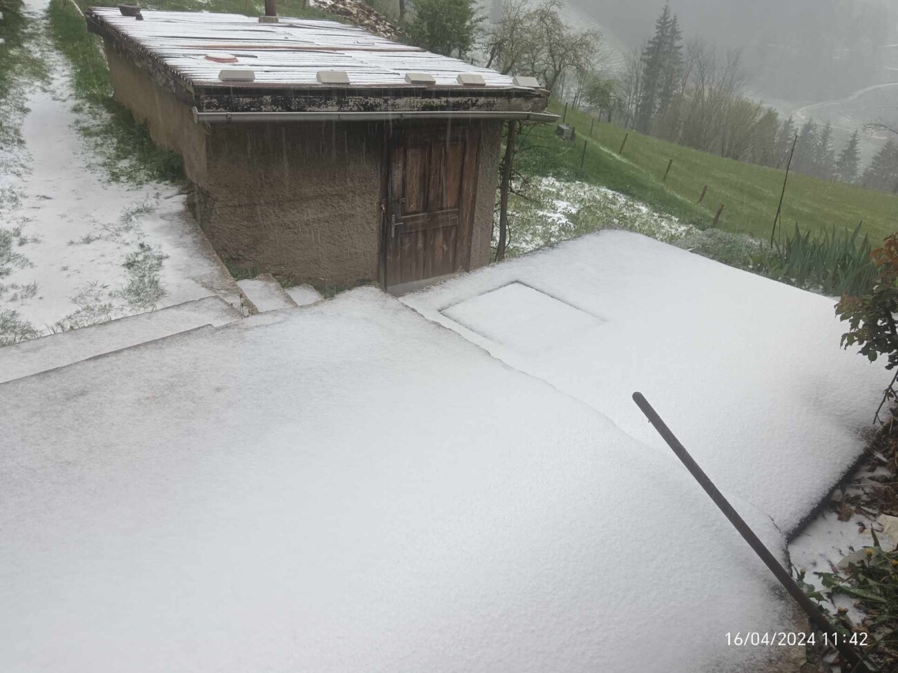 436254925_397083903252497_4032106799056933081_n