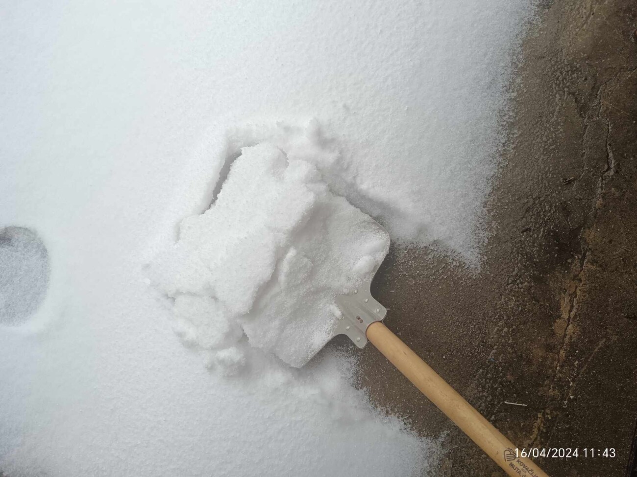 436350720_397083983252489_618599758565439413_n