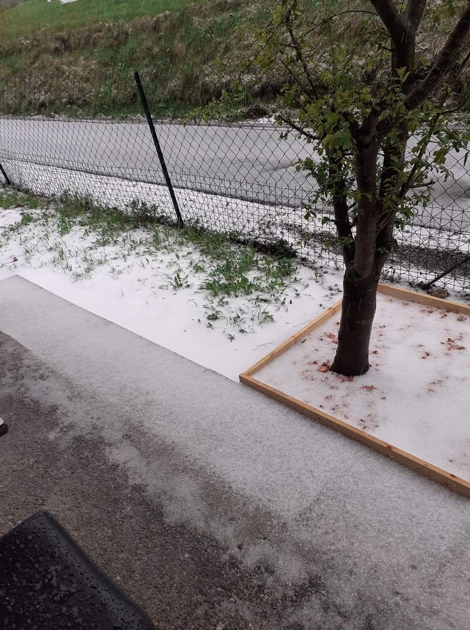 436365681_397074319920122_5508385251723326967_n