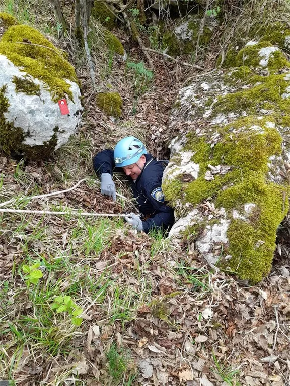 768×768-42bcb76c-9d0c-11eb-86af-cedfb09875dd (1)