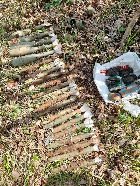 768×768-42bcb76c-9d0c-11eb-86af-cedfb09875dd (2)