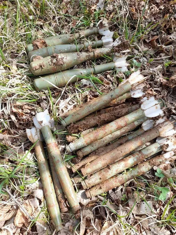 768×768-42bcb76c-9d0c-11eb-86af-cedfb09875dd (3)