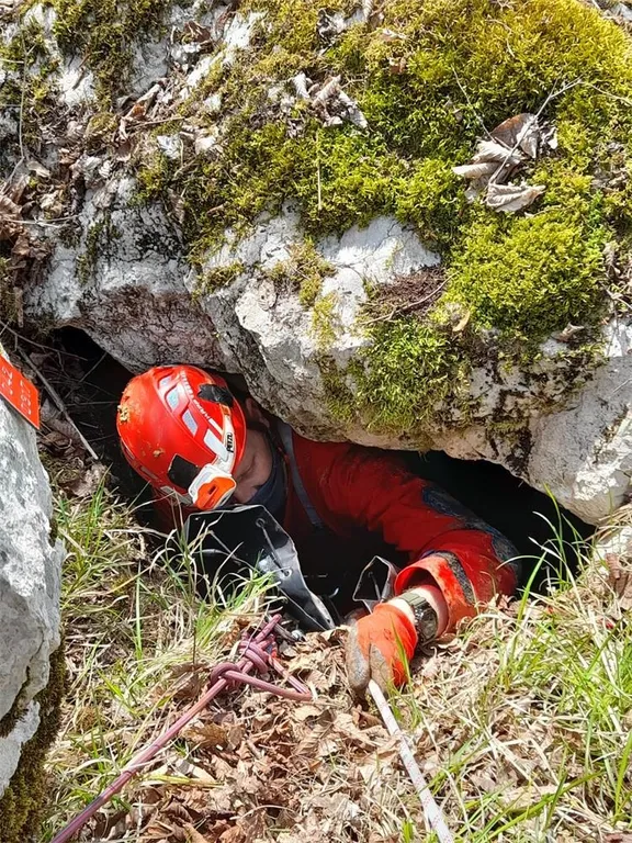 768×768-42bcb76c-9d0c-11eb-86af-cedfb09875dd