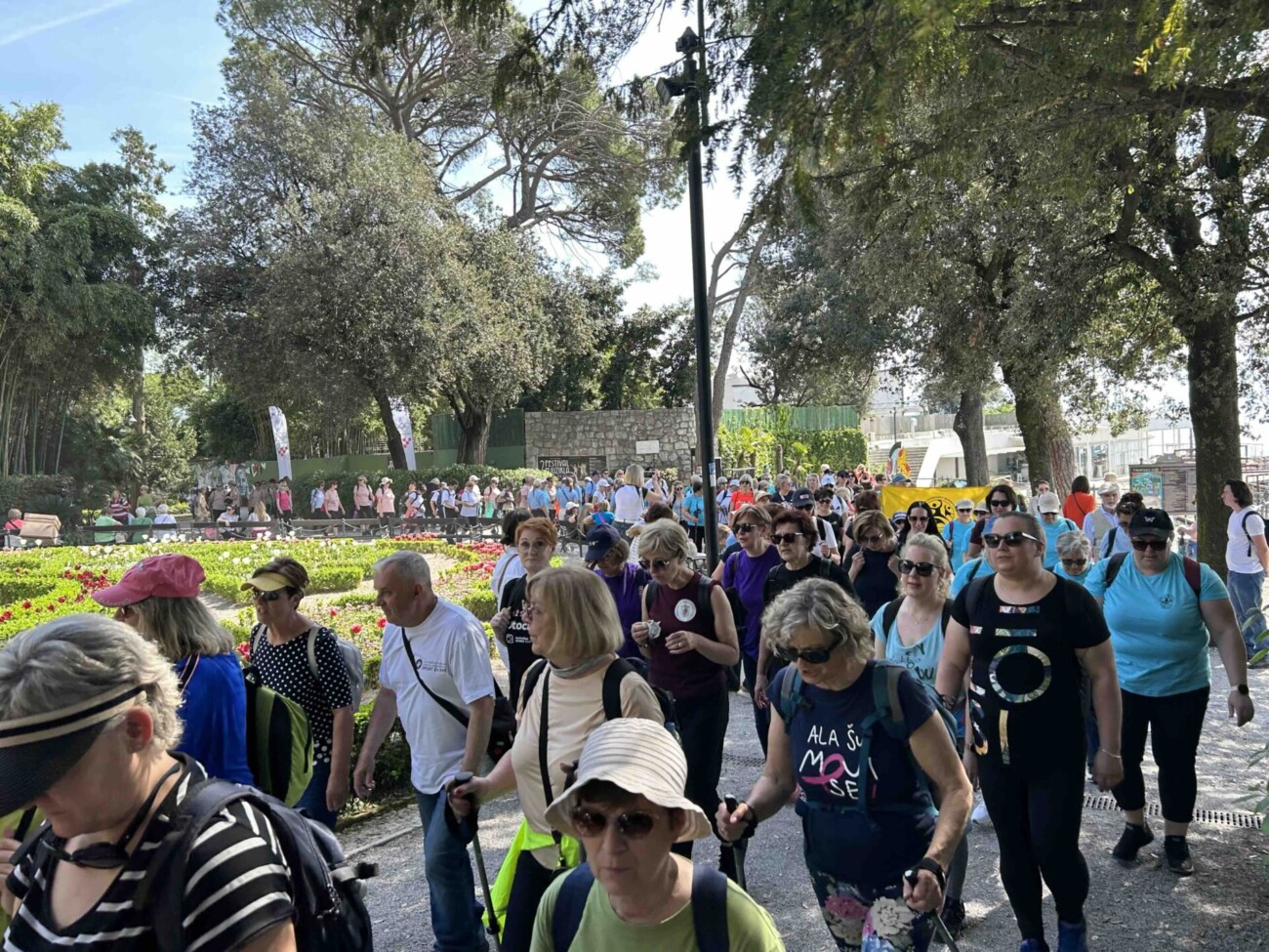 IMG_6573 2 IMG_6573 2