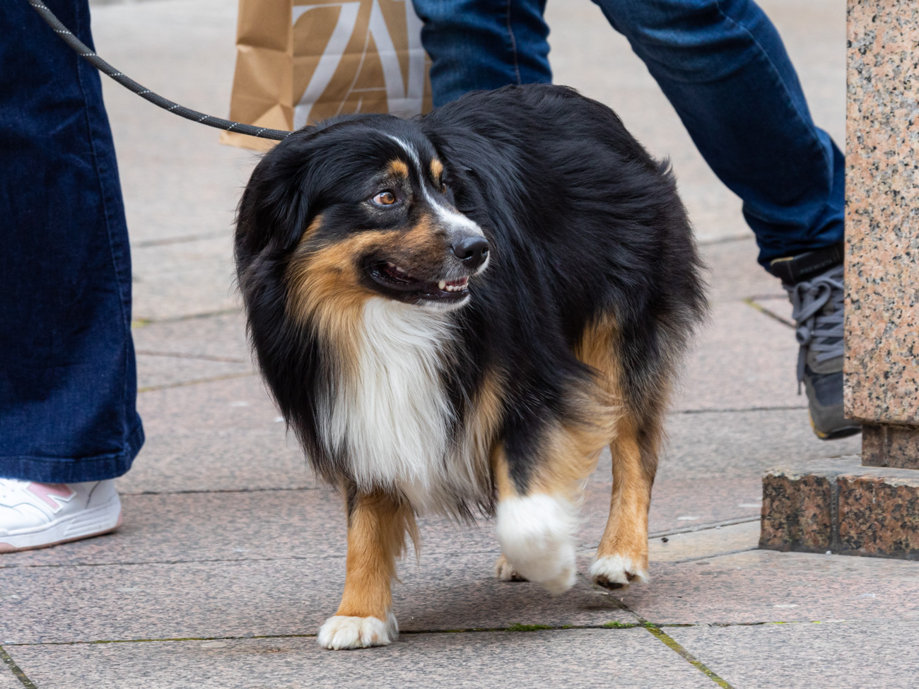 Klikom po Korzu 26.4.-40