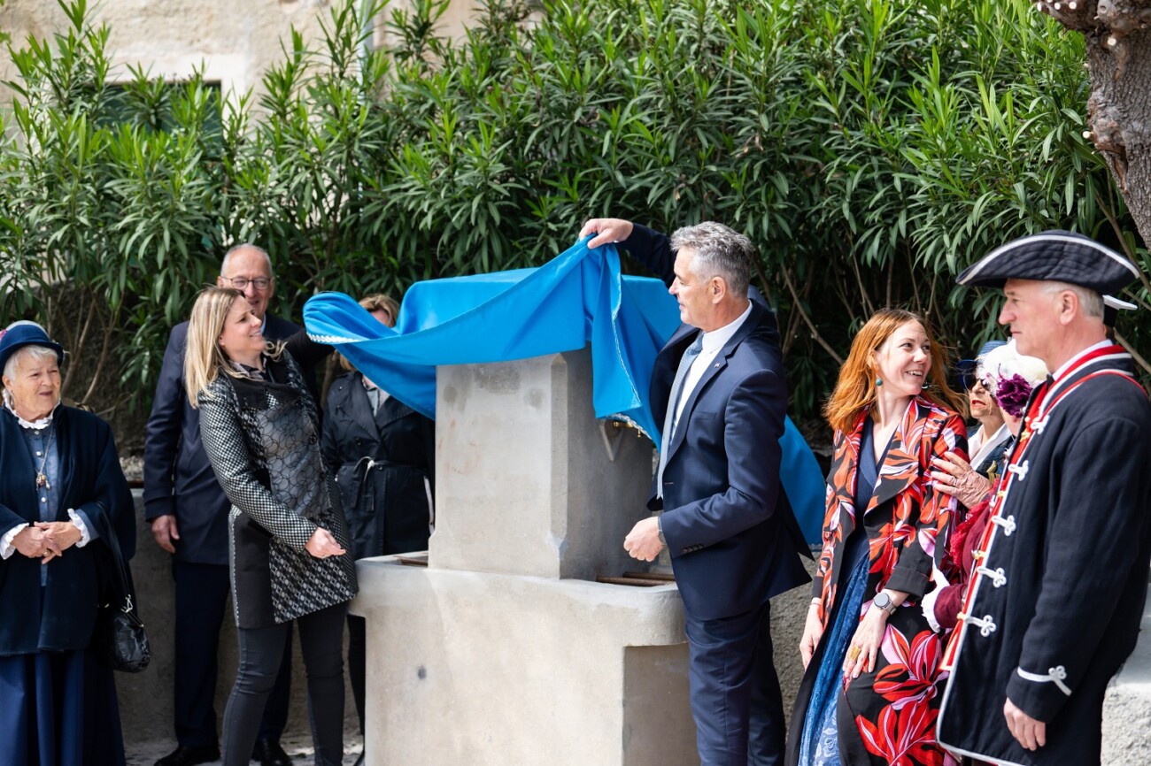 Oživljene špine (5) Oživljene špine (5)