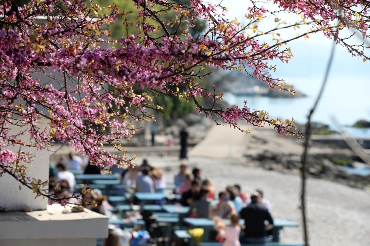 Rijeka: Mnogobrojni Rije?ani na plai Kantrida Rijeka: Mnogobrojni Rije?ani na plai Kantrida