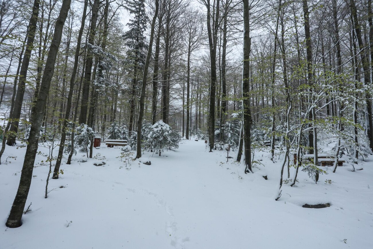 Snijeg zabijelio Platak Snijeg zabijelio Platak