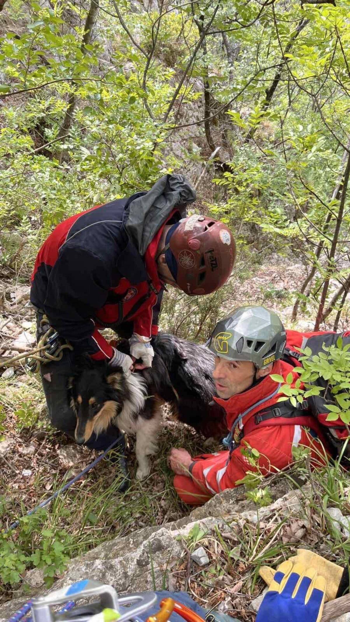 Riječki HGSS u dvodnevnoj akciji spasio psa koji je pao u provaliju u zaleđu Brseča