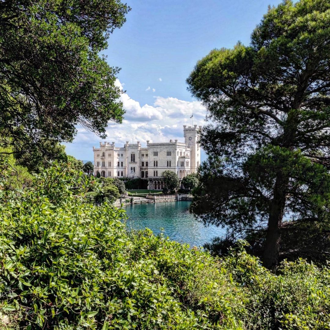 Snapinsta.app_253414175_909688289924229_7615896583826531792_n_1080