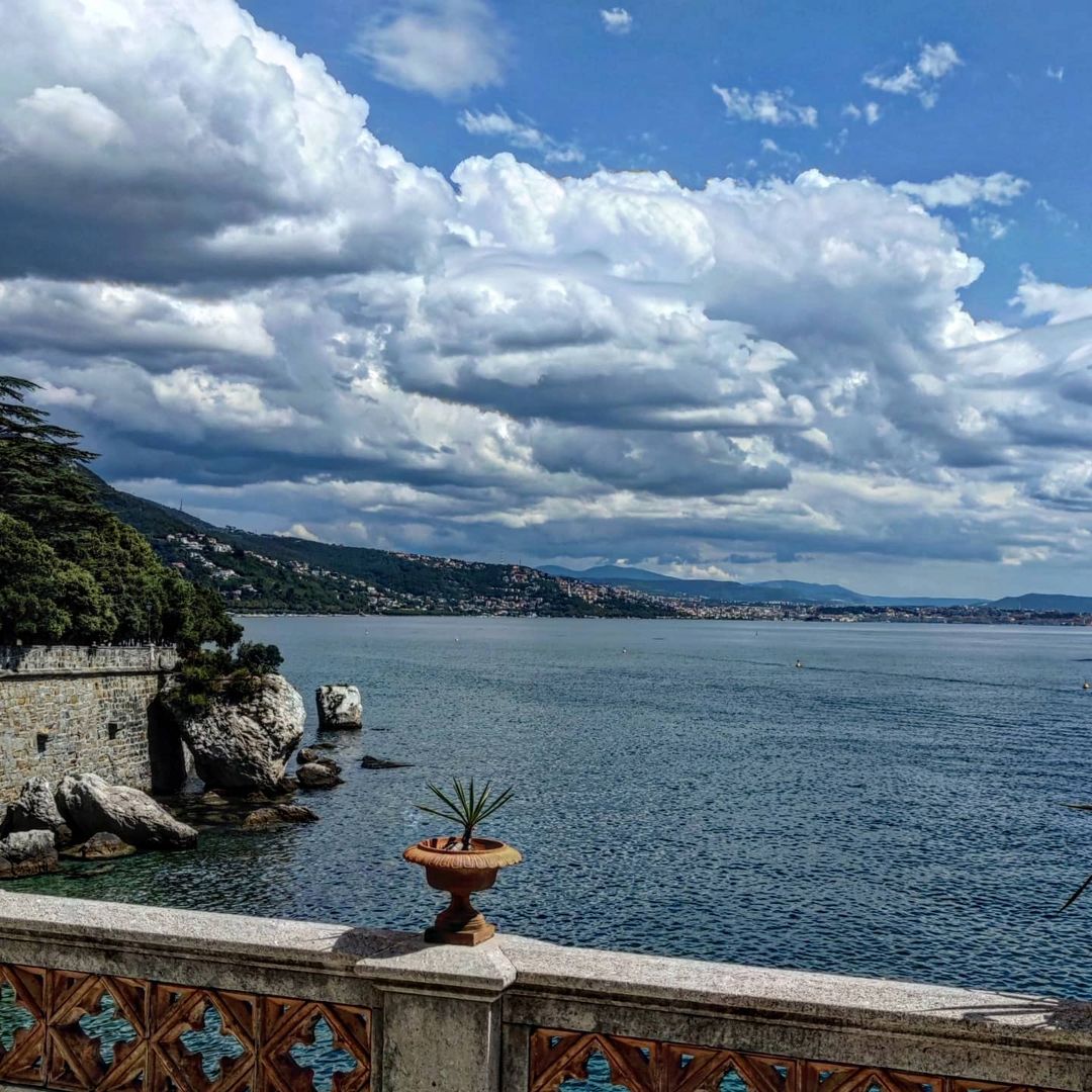 Snapinsta.app_254432031_477853853477587_615301162262350723_n_1080