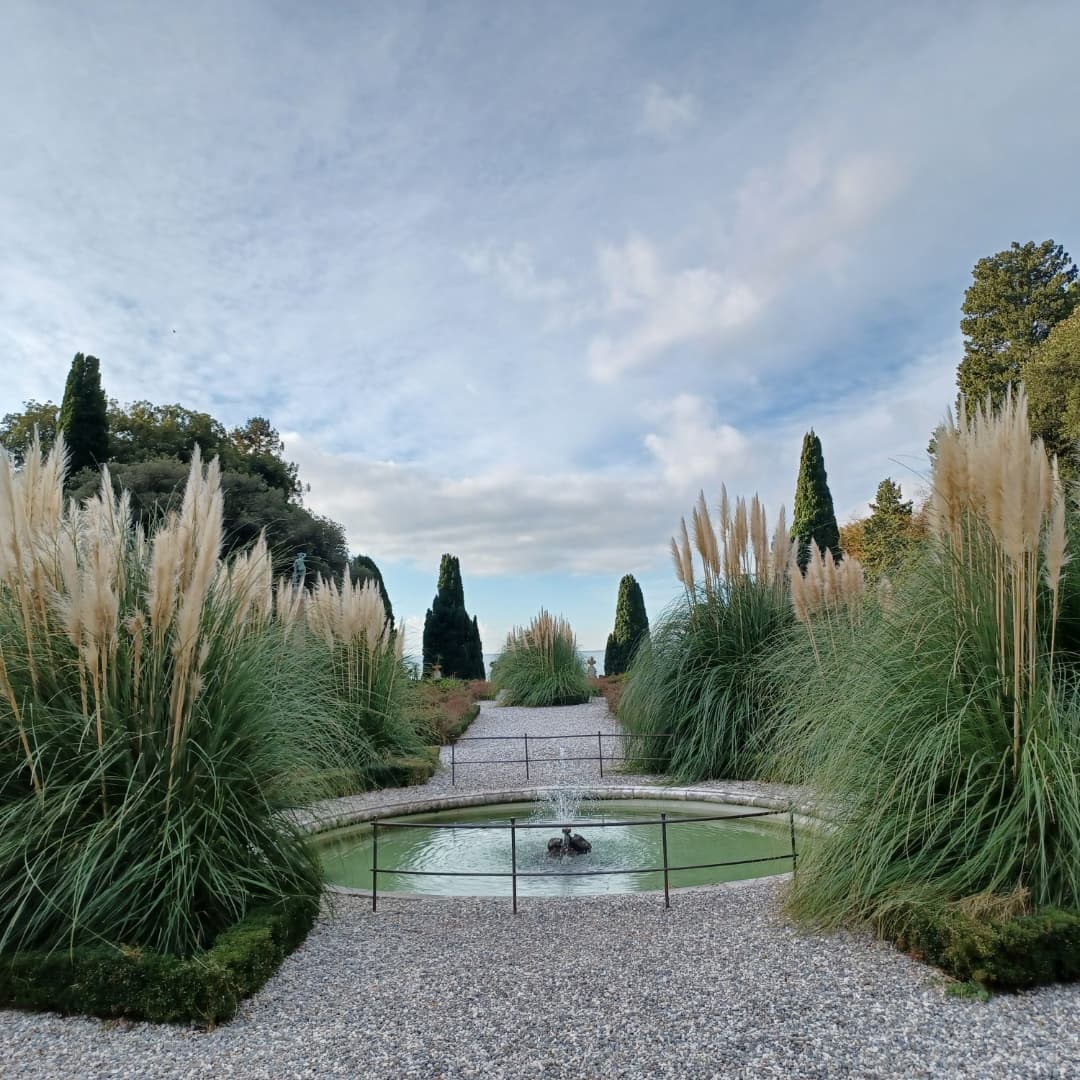 Snapinsta.app_264127913_2100787310097579_4928394307492347994_n_1080