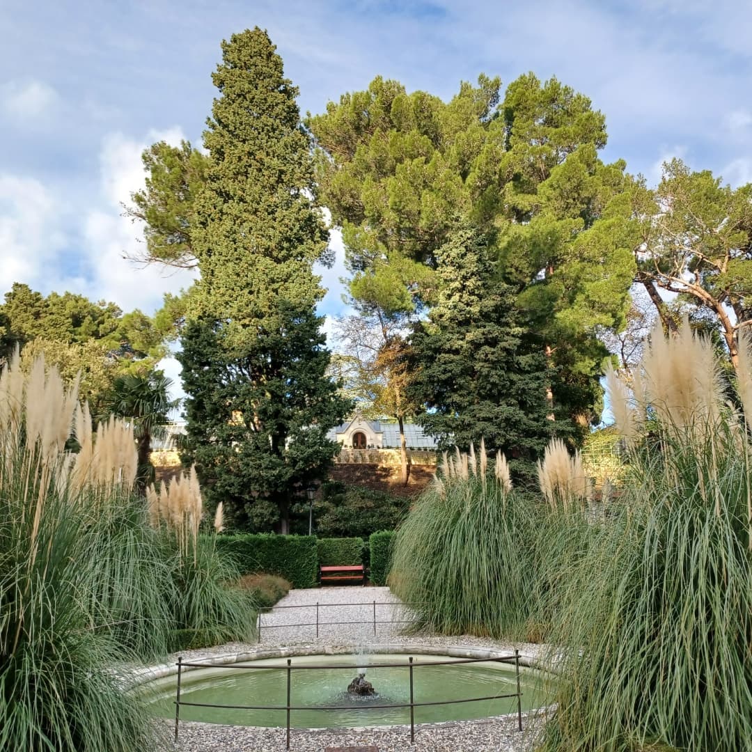 Snapinsta.app_265347124_312013410928315_298446261074318408_n_1080