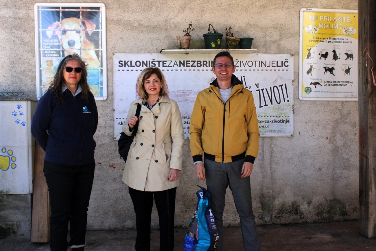 pgž azil 1 pgž azil 1