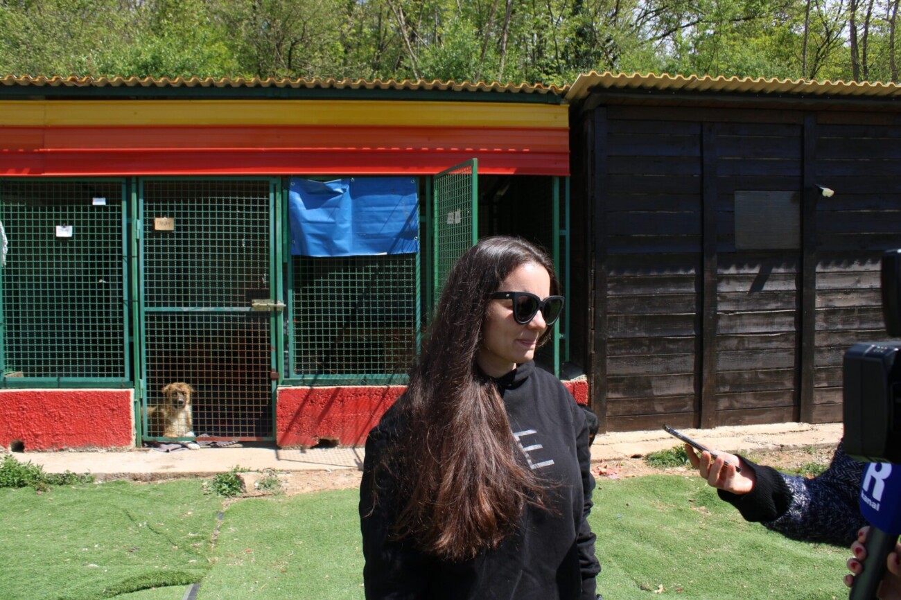 pgž azil 122 pgž azil 122