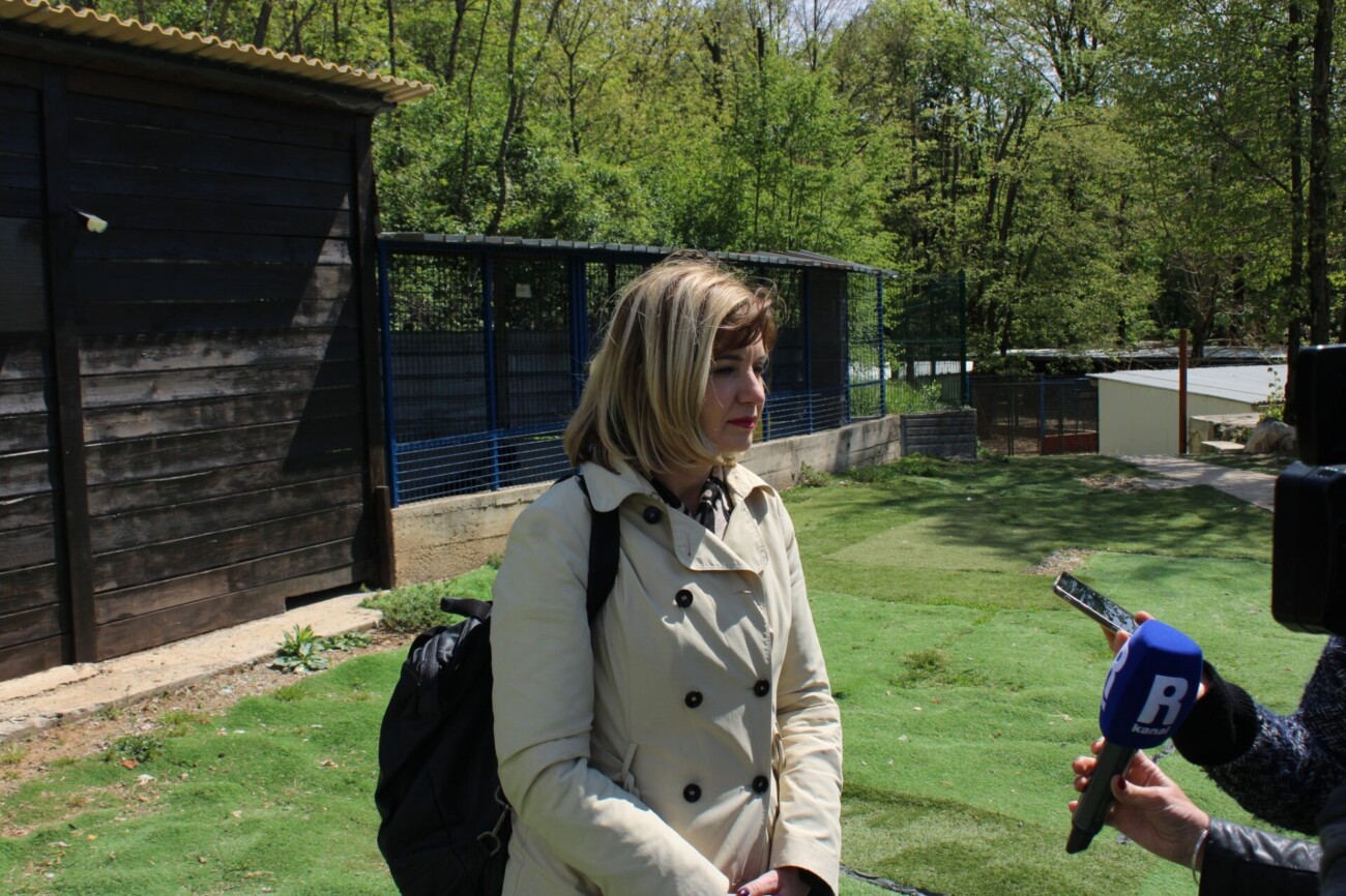 pgž azil 133 pgž azil 133