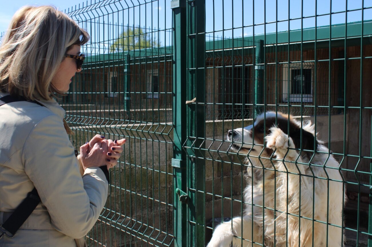 pgž azil 15 pgž azil 15