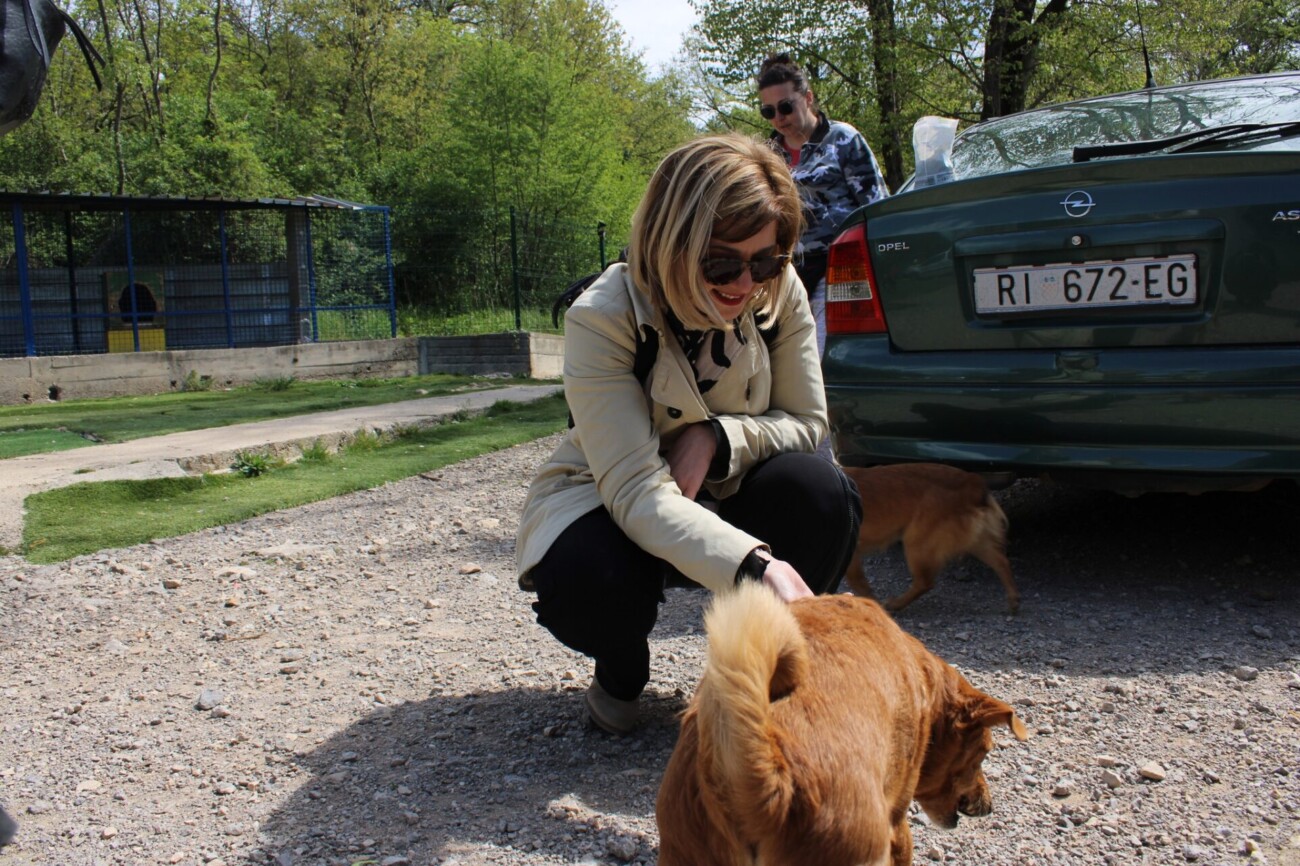 pgž azil 17 pgž azil 17