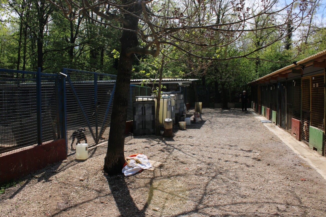 pgž azil 18 pgž azil 18