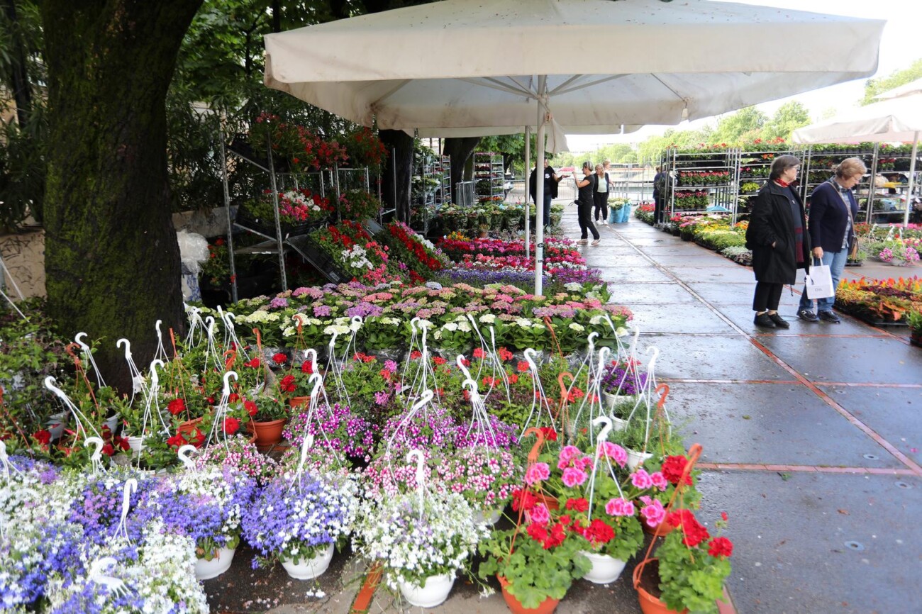 Rijeka: Otvoren 5. Cvjetni sajam kod Konta