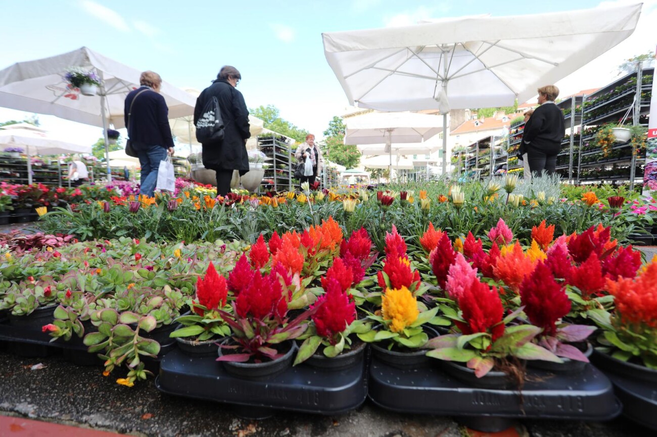 Rijeka: Otvoren 5. Cvjetni sajam kod Konta