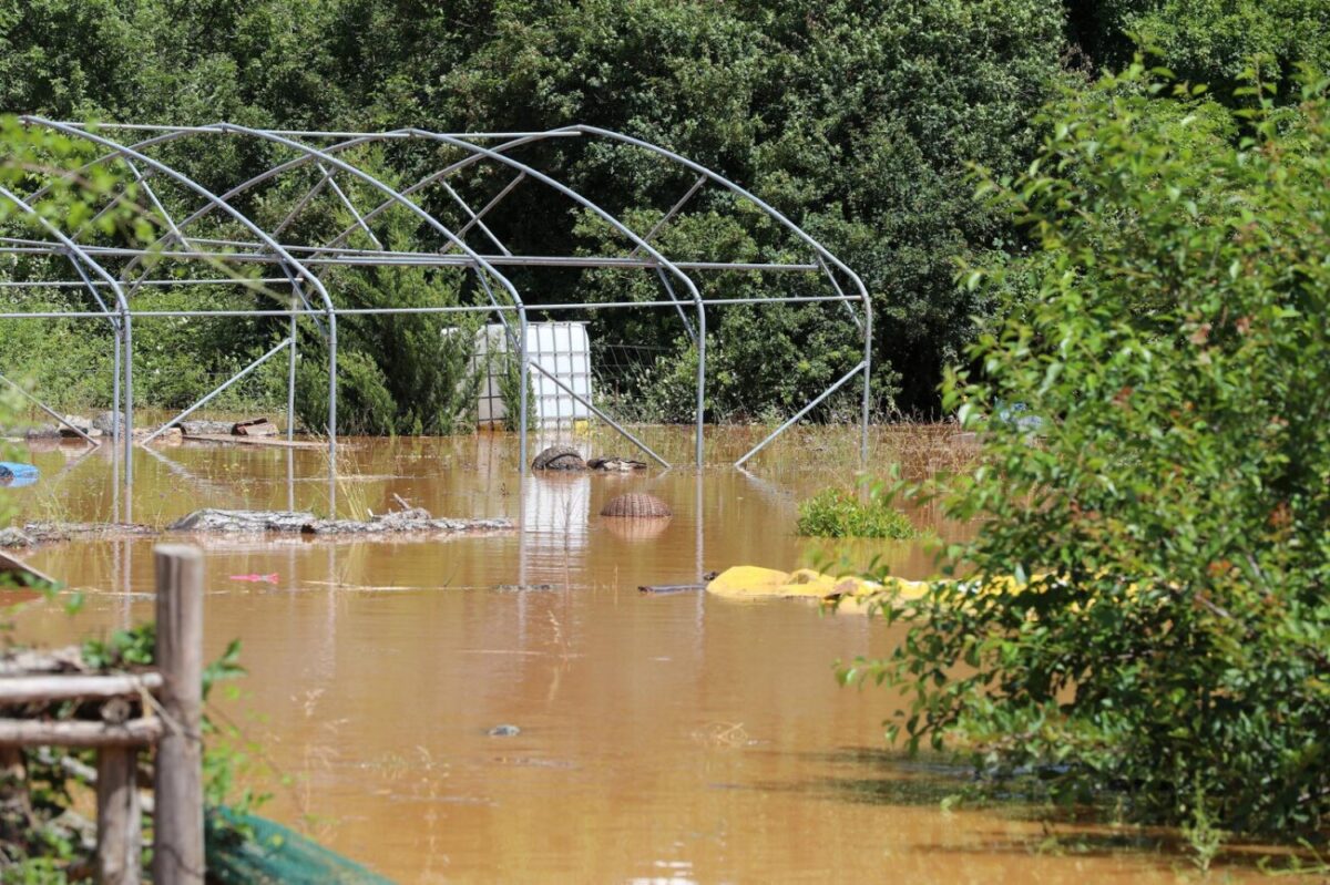 Veliki potop na otoku Krku, pala rekordna količina kiše