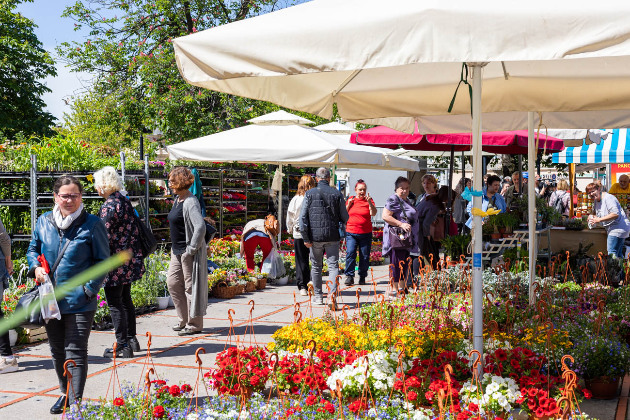 Sajam cvijeća kont-1