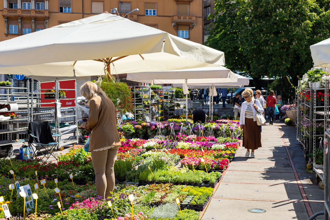 Sajam cvijeća kont-3