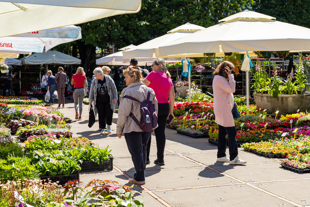 Sajam cvijeća kont-4