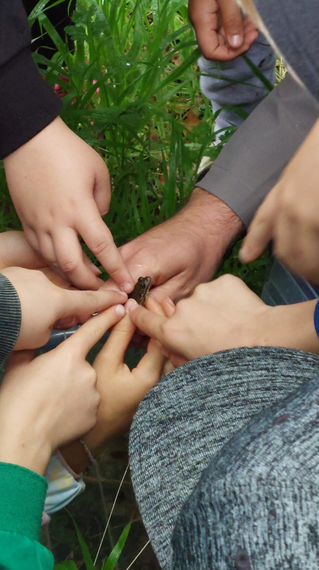 pp ucka dan bioloske raznolikosti (10) pp ucka dan bioloske raznolikosti (10)