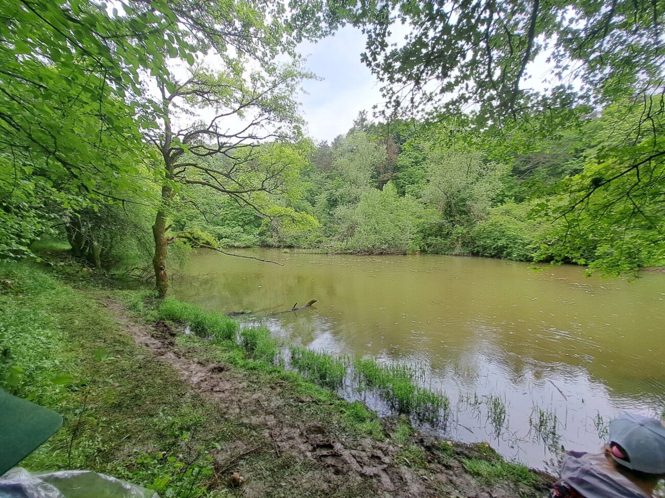 pp ucka dan bioloske raznolikosti (2) pp ucka dan bioloske raznolikosti (2)