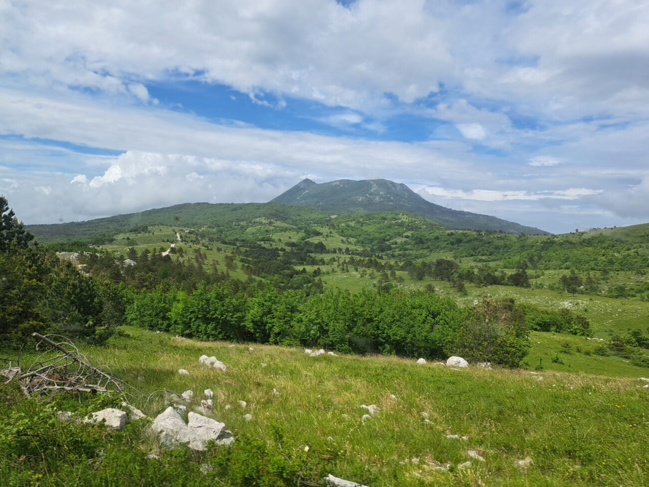 pp ucka dan bioloske raznolikosti (4) pp ucka dan bioloske raznolikosti (4)