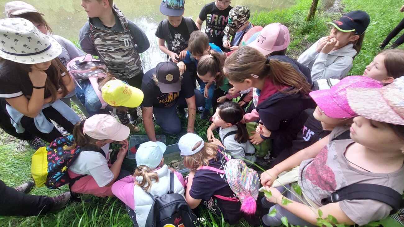 pp ucka dan bioloske raznolikosti (6) pp ucka dan bioloske raznolikosti (6)