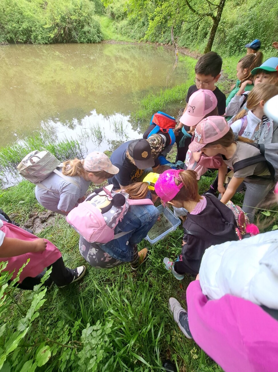 pp ucka dan bioloske raznolikosti (7) pp ucka dan bioloske raznolikosti (7)