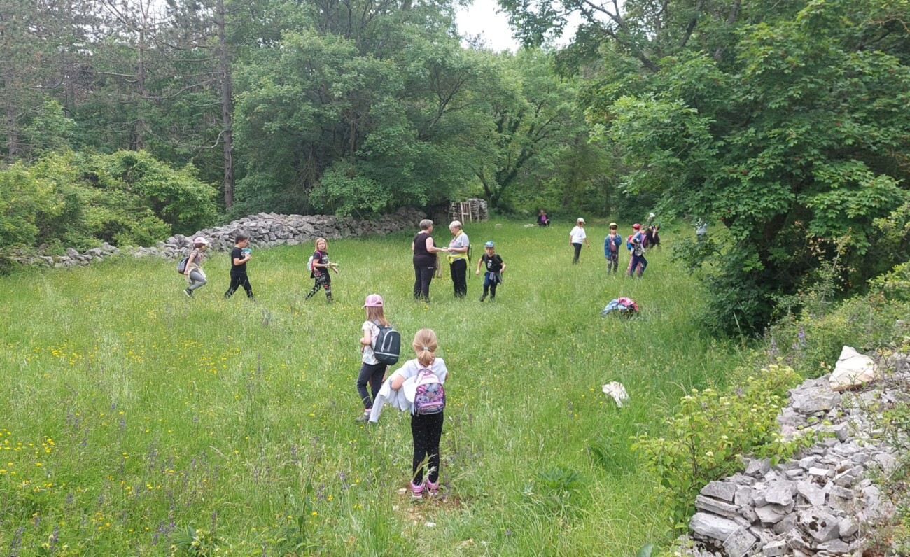 pp ucka dan bioloske raznolikosti (9) pp ucka dan bioloske raznolikosti (9)