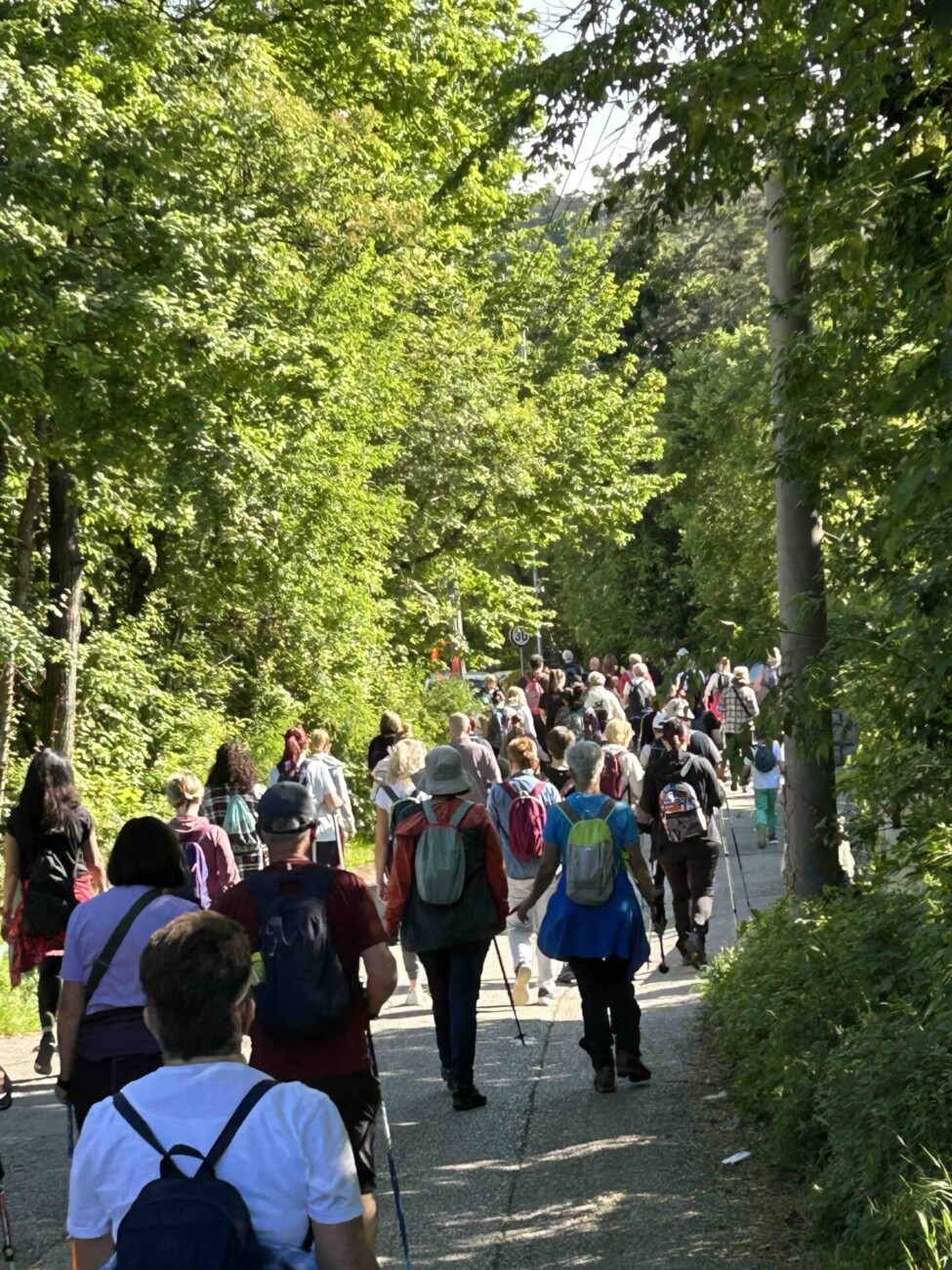 rijeka outdoor drenova svibanj 2024 15 rijeka outdoor drenova svibanj 2024 15