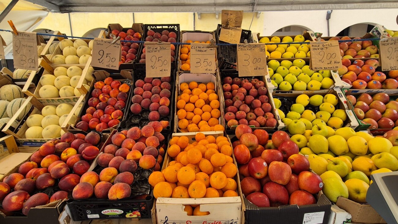 abc travel padova 11555 abc travel padova 11555