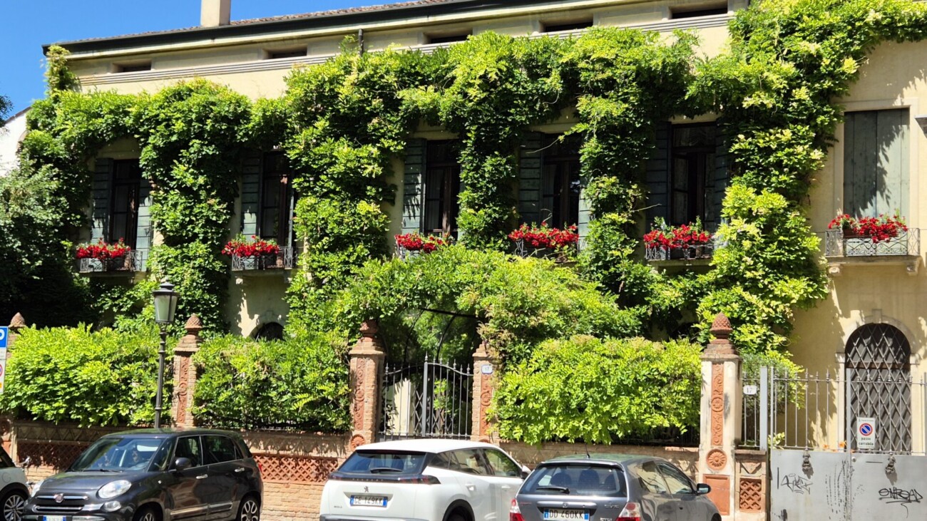 20240613_141458 20240613_141458