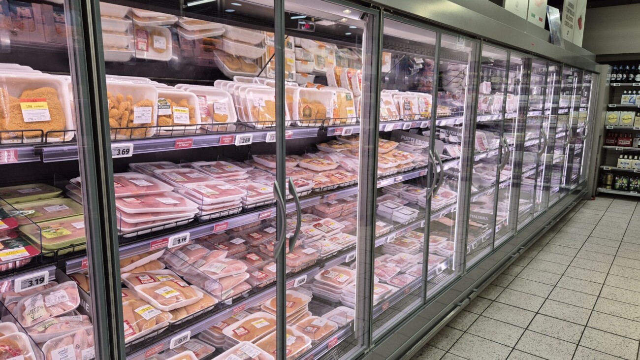 20240613_150308 20240613_150308