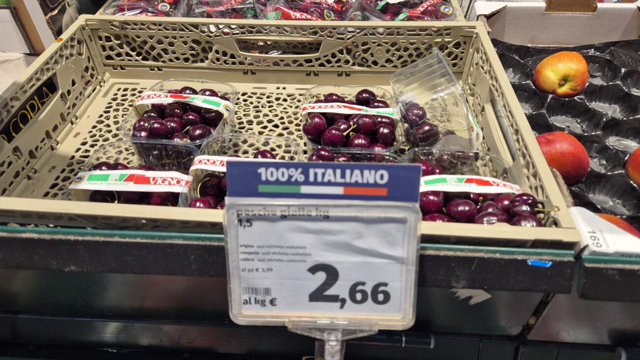 20240613_150425 20240613_150425